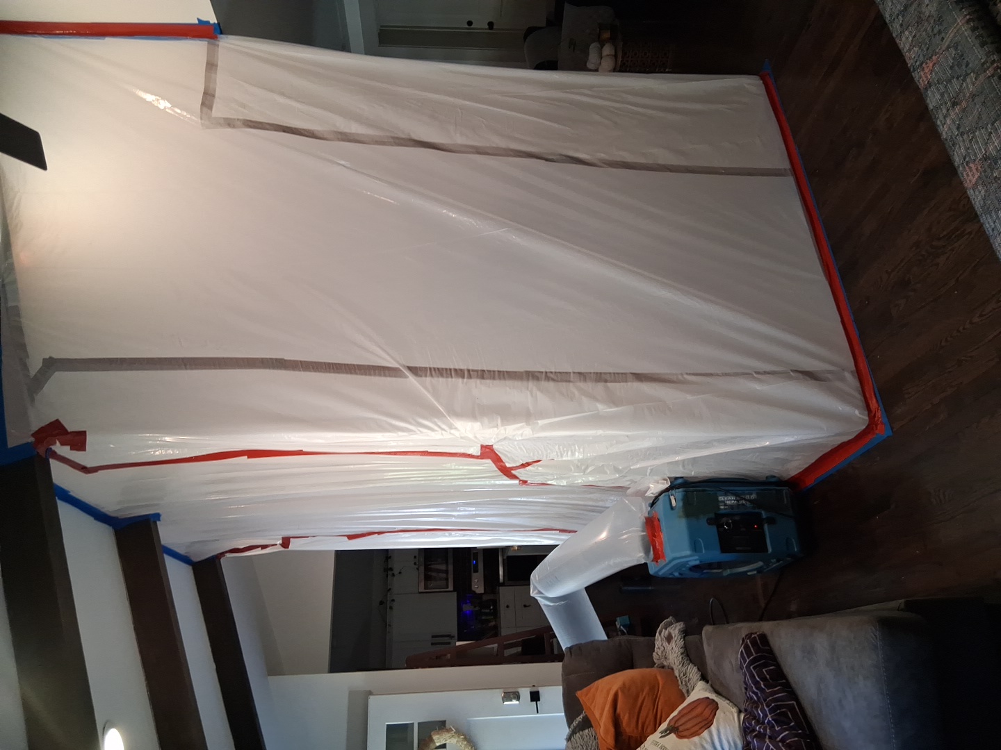 Mold remediation,  ceiling drywall was mold and we remove it. 