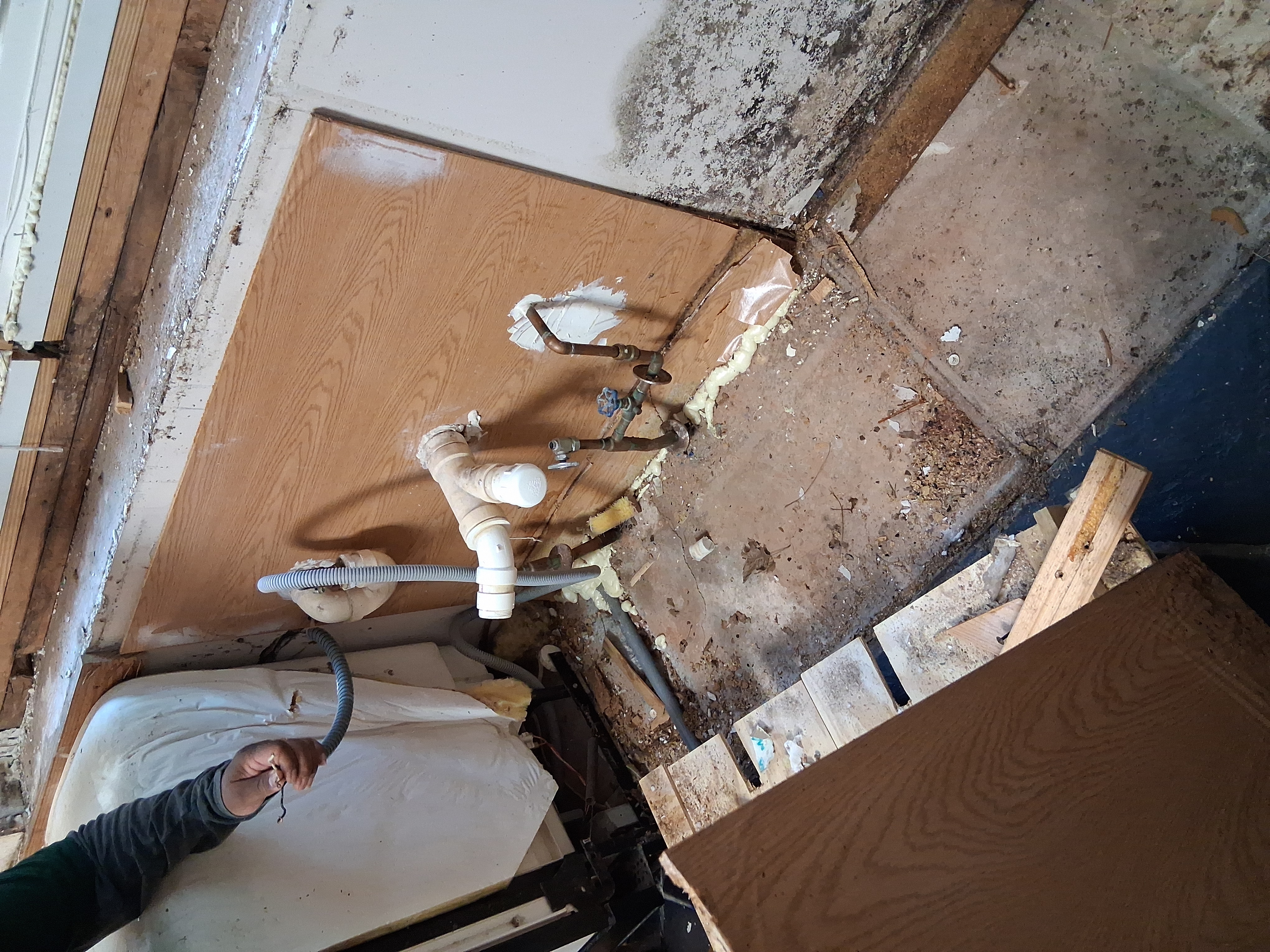 Mold growth behind the kitchen cabinet 