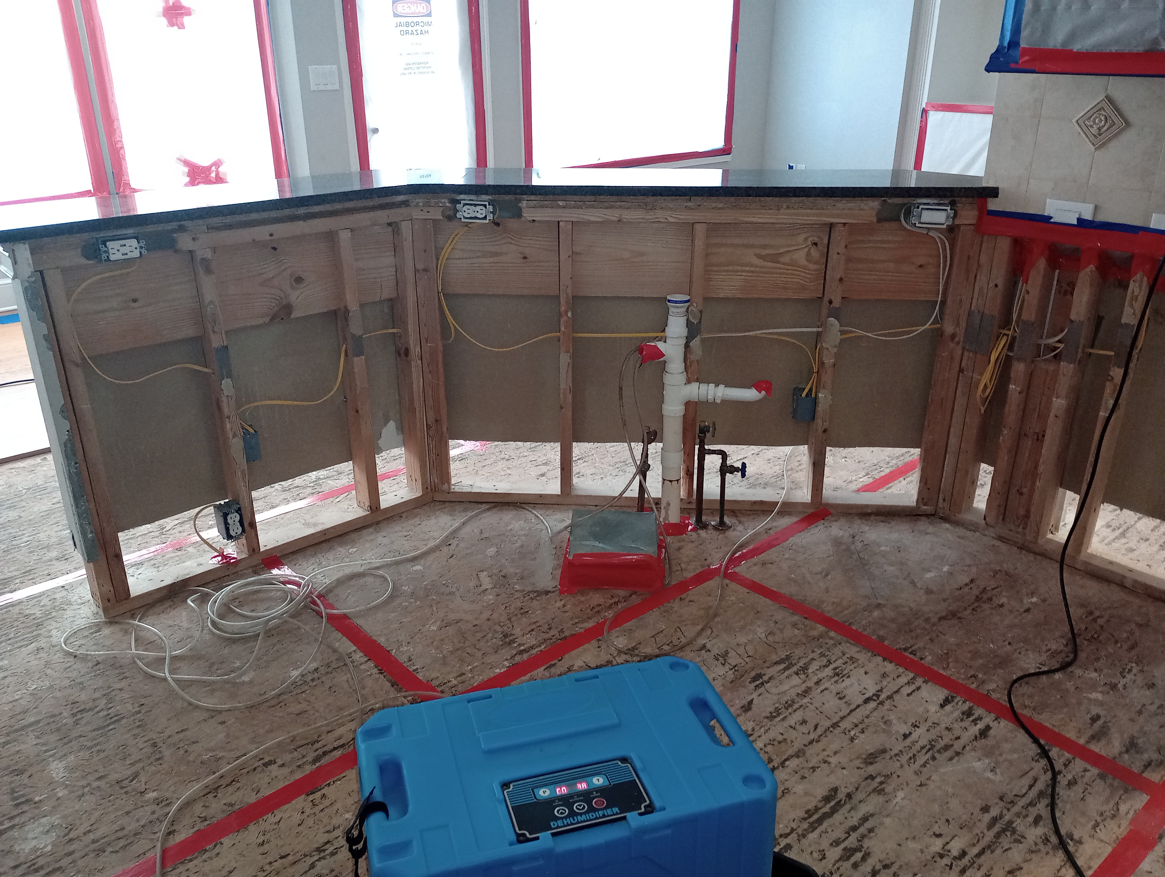 Mold remediation process 