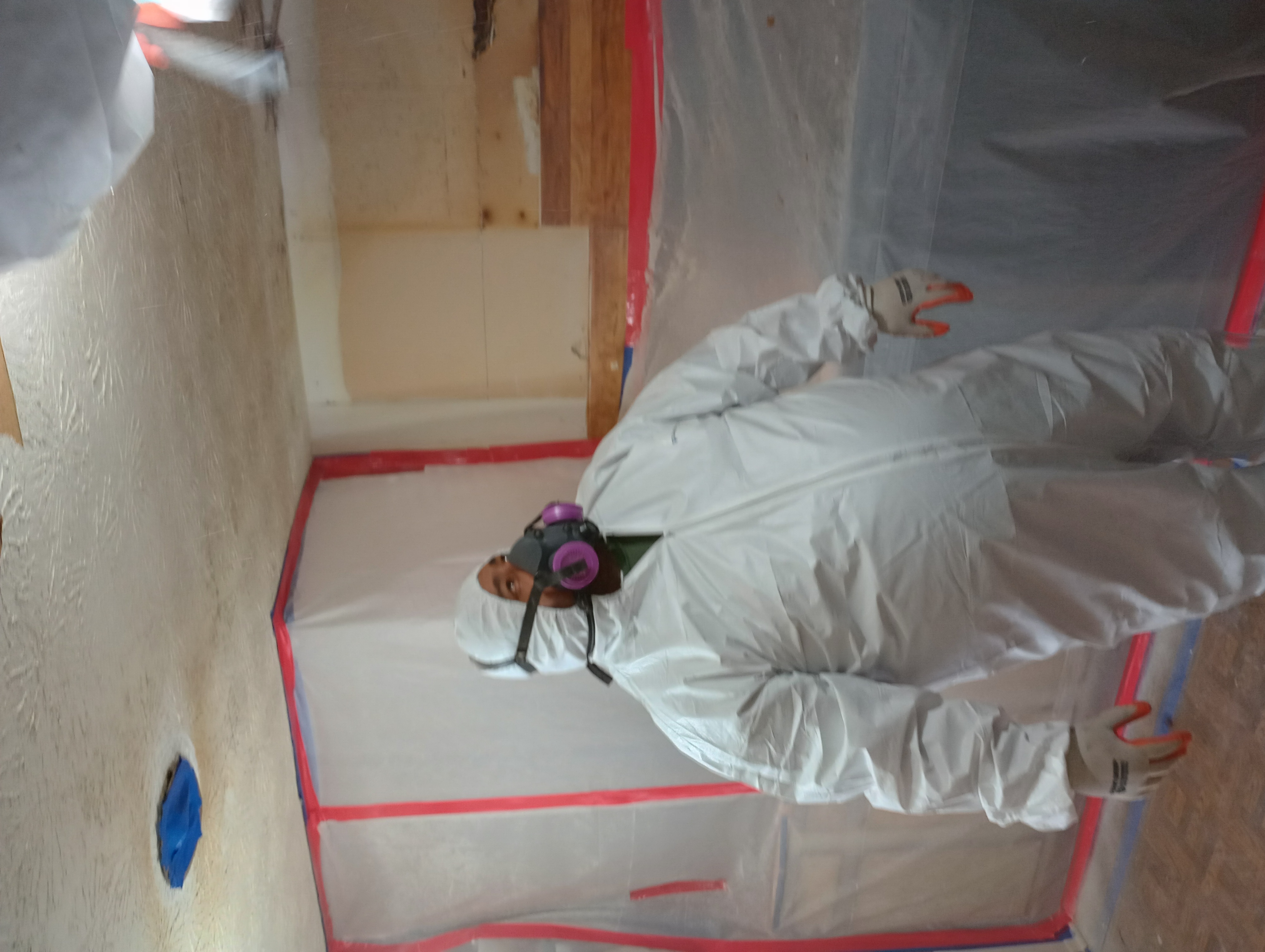 Mold remediation process 