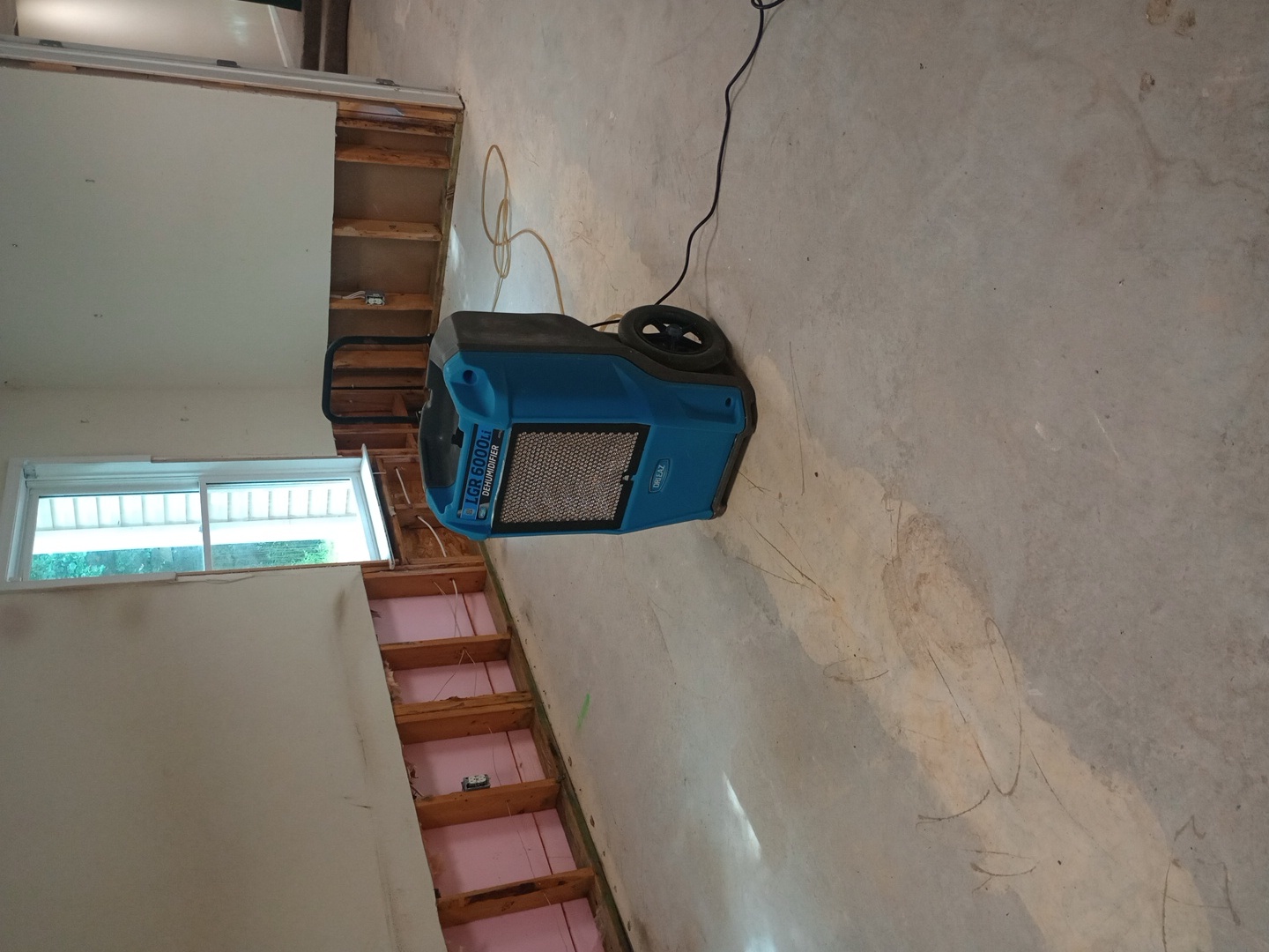 Mold remediation 